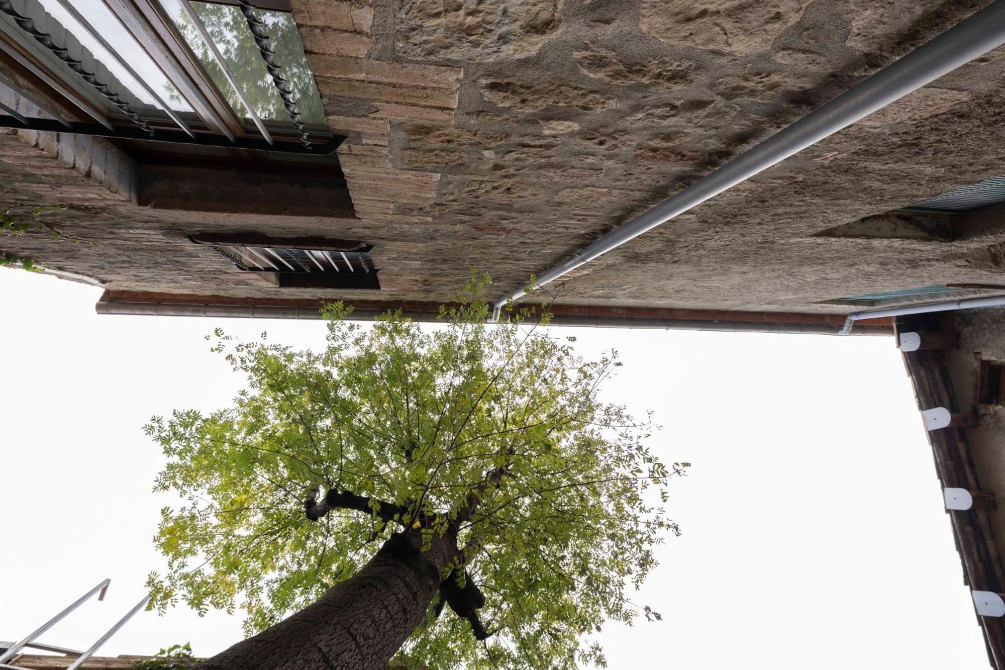 Hotel La Freixera Solsona Eksteriør bilde